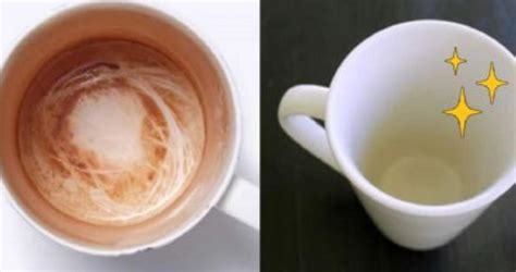 Truco casero así podés eliminar esas manchas de café y té de las tazas