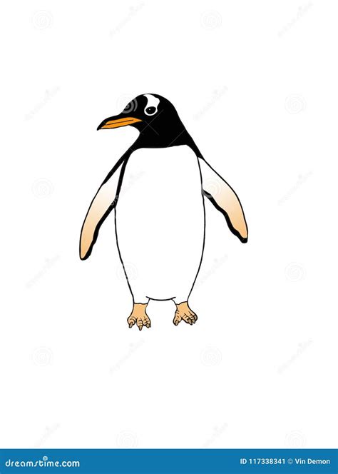 Gentoo Penguin. Adelie Chinstrap Bird. Vector Graphics Black And White ...