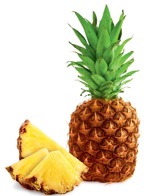 create meme pineapple pictures meme arsenalcom
