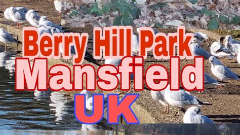 Berry Hill Park Mansfield Uk Pinaynene Life In Uk Youtube