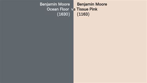 Benjamin Moore Ocean Floor Vs Tissue Pink Side By Side Comparison