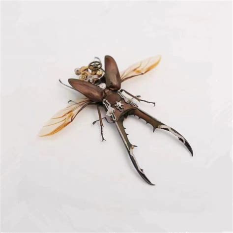 Arthropod Artifact Handmade Taxidermy Beetle Taxidermy Insect