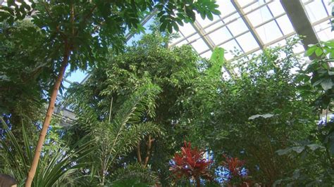 Assiniboine Park Conservatory nearing end of its life, slated to close ...