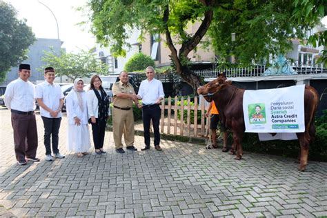 Rayakan Idulaadha H Acc Salurkan Ratusan Hewan Kurban Media