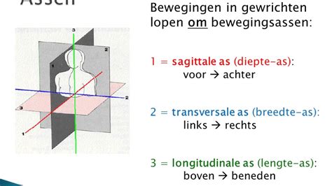 TRK 2 2 Assen Type Gewrichten En Bewegingen YouTube