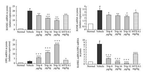 Triptolide Inhibits Osteoclast Differentiation By Targeting