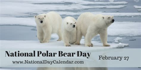 NATIONAL POLAR BEAR DAY February 27 In 2024 Polar Bear Bear Polar