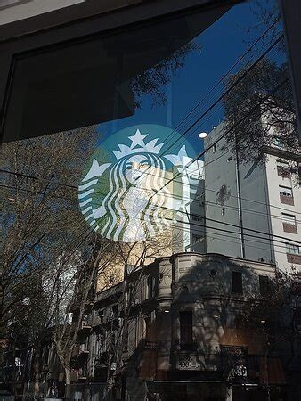 Starbucks Buenos Aires Avenida Federico Lacroze Fotos N Mero