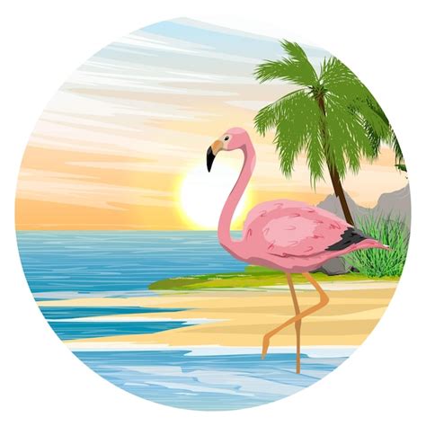 Composition Ronde Flamant Rose Dans L Eau Bleue Chaude Les Tropicales