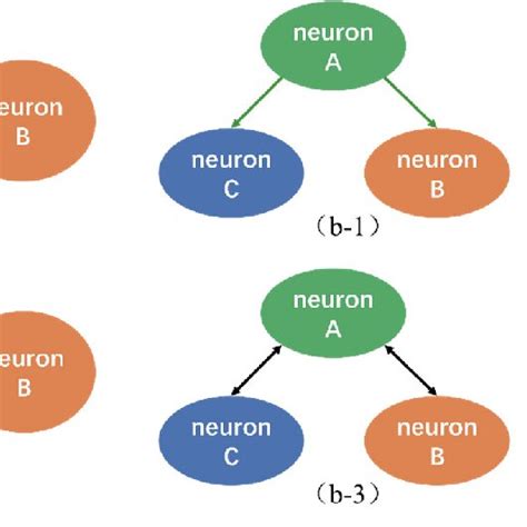 Schematic Diagram Of Motif Model Connection A 1 Unidirectional