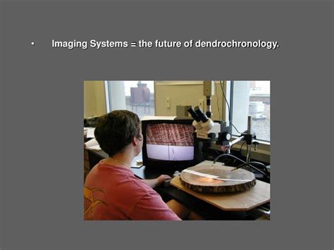 PPT - Laboratory Methods in Dendrochronology PowerPoint Presentation ...