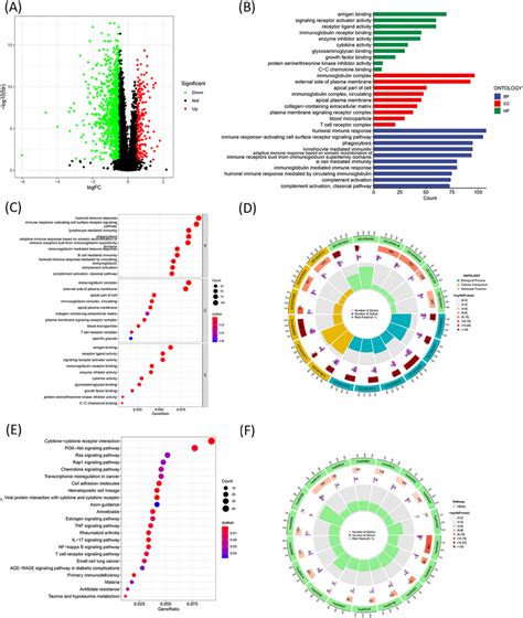 Functional Enrichment Of Cuproptosis‐related Lncrna Signature A