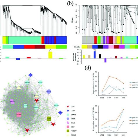 Weighted Gene Co Expression Network Analysis WGCNA And Expression