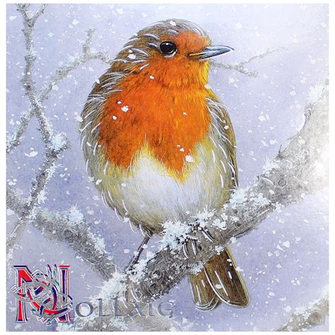 Winter Robin Christmas Card Totally Irish Gifts