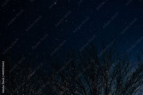 starry winter dark night sky with lots of stars and constellations Stock Photo | Adobe Stock