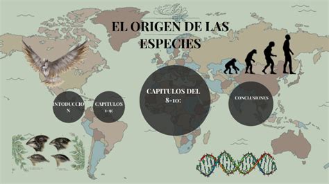 El Origen De Las Especies By Carol Paez On Prezi