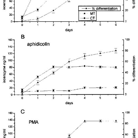 Percentage Of Benzidine Positive K562 Cell Overexpressing The Mt Clone Download Scientific