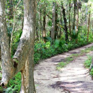 Everglades Swamp Buggy Tour - Wooten's Everglades Airboat Tours