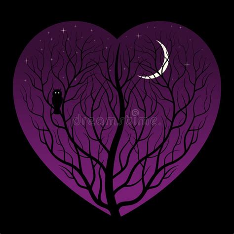 notte nel cuore illustrazione vettoriale illustrazione  cartolina