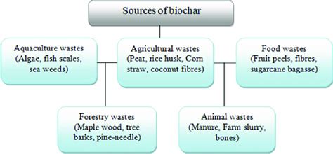 Different Categories Of Sources Of Biochar Download Scientific Diagram