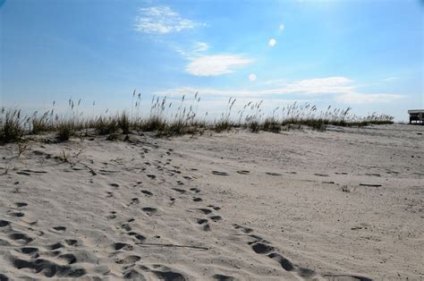 Why Gulf Shores, Alabama Is Worth Visiting