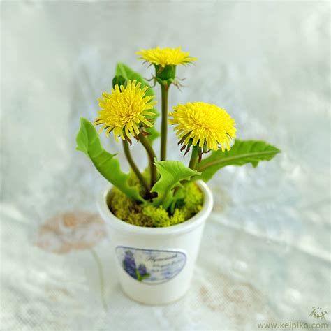 Flower Arrangement "Dandelions" | Anna Kelpiko