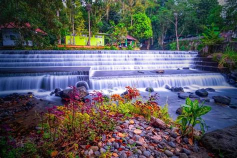 Aik Nyet Sesaot Sensasi Sejuk Di Tengah Hutan Rimbun