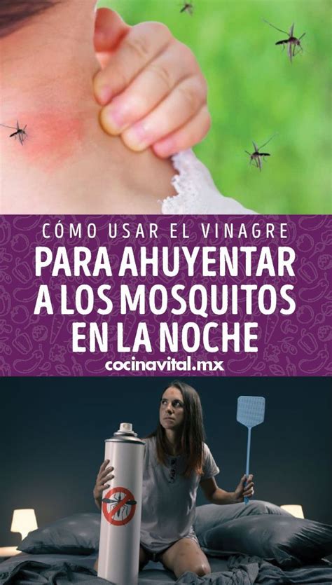 Cómo usar el vinagre para ahuyentar a los mosquitos en la noche en 2022