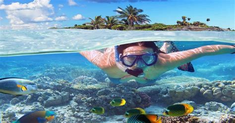 Punta Cana: Catamaran Cruise and Snorkeling | GetYourGuide