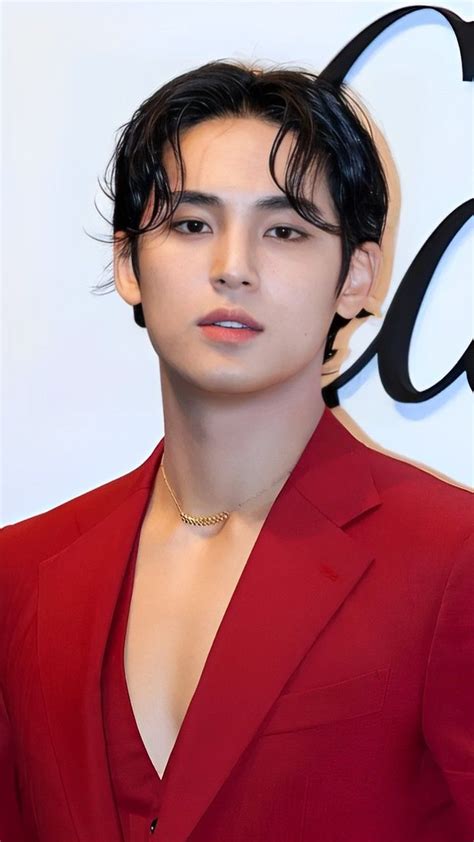 Mingyu Cartier 2022 Mingyu Mingyu Seventeen Mingyu Wonwoo