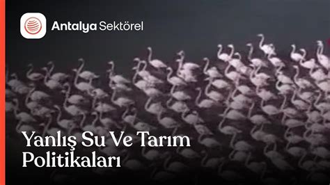 Türkiyenin Sulak Alanları Kuruyor YouTube