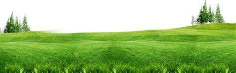 Grass Field Png