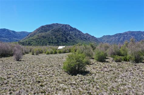 Terreno M Sector Caracoles Con Bosque Y Amplias Vistas Al Valle