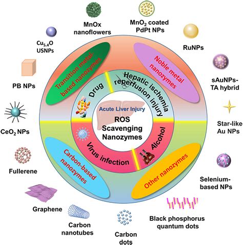 Reactive Oxygen Species Scavenging Nanozymes Ijn