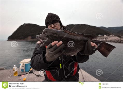 Fishing Angler Asian Sheepshead Wrasse in Japan. Stock Photo - Image of ...