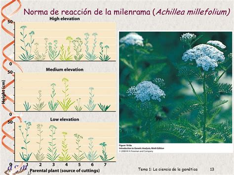 1 Dr Antonio Barbadilla Tema 1 La ciencia de la genética1 AB