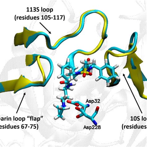 The Active Site Of Bace And Its Inhibitors A The Subsites Of Bace