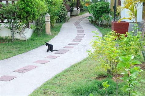 Beautiful Walk Way Through Into Park Stock Photo Image Of Path