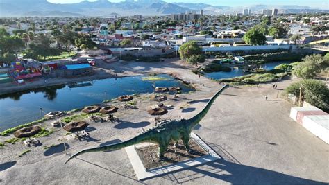 Con paseo desde la era paleontológica hasta la década de los 80 Así se