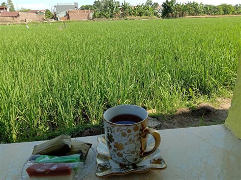 Kopi Pagi Dan Padi