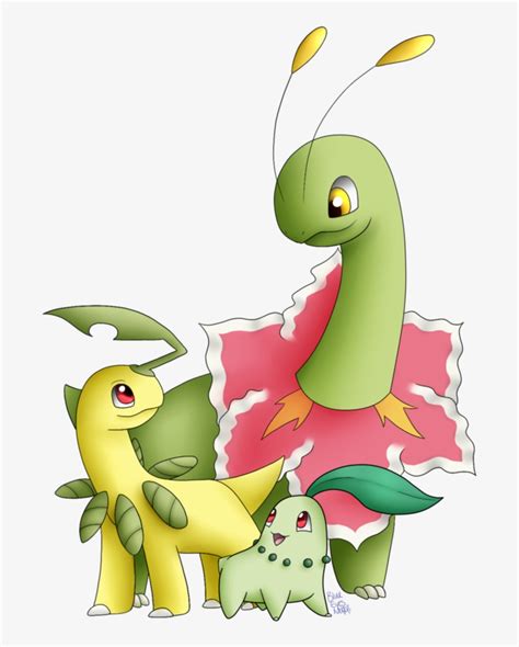 Chikorita Evolution