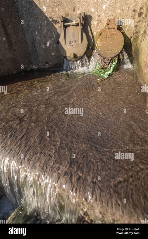 Sewage Fungus Growing As A Result Of Untreated Sewage Being Discharged