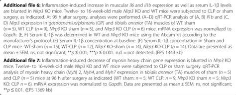 Abbreviations Clp Cecal Ligation And Puncture Model Of Polymicrobial