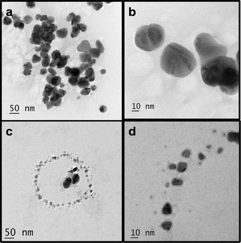 TEM Images Of A Green Synthesized AgNPs B Green Synthesized AgNPs In