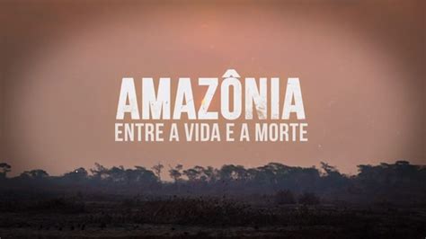 TV Cultura produz série inédita sobre desmatamento na Amazônia eCycle