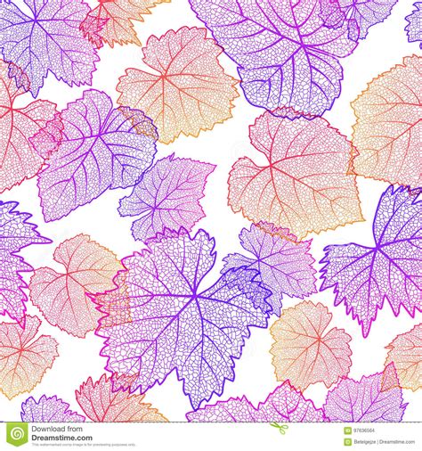 Vector Seamless Pattern With Hand Drawn Grape Textured Leaves On White