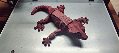 3D Printed Crested Gecko Articulated Toy Print In Place Body Snap Fit