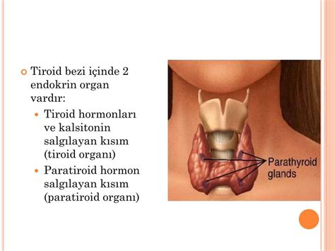 PPT TİROİD ve PARATİROİD BEZİ HASTALIKLARI PowerPoint Presentation