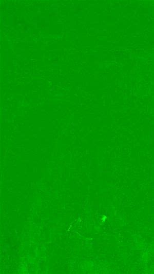 Mira Sdff Tits Amateur Colombian Porn SpankBang