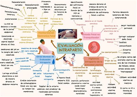 Evaluaci N Intraparto Obsta En Formaci N Udocz